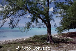 Bahamas - Isla Eluthera by Vito Lorusso 